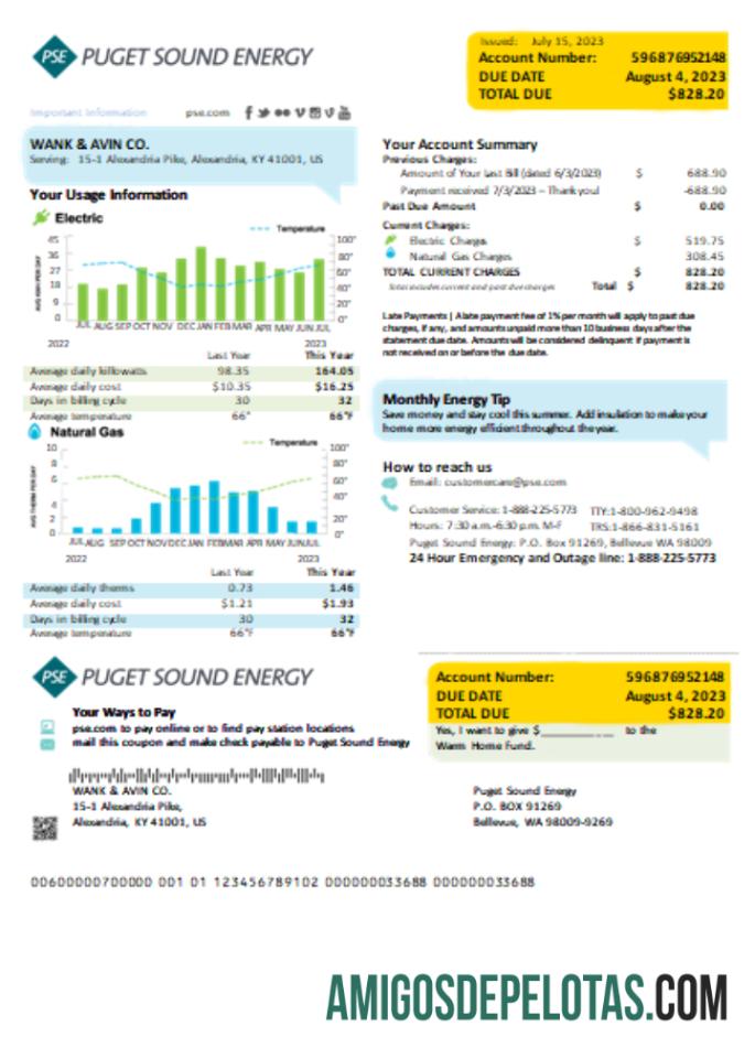 Projeto de lei de serviços públicos de energia de Washington Puget Sound, SCR exemplo real